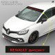 Pare soleil RENAULT SPORT logo 2004-2015