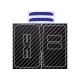 DACIA EXTREME Aufkleber für 2 Tasten Schlüssel Carbon-Look For new logo DACIA