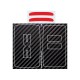 DACIA EXTREME Sticker for 2 buttons Key carbon look For new logo DACIA