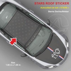 Autocollant de toit PIKES PEAK STRIPES pour A110