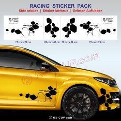 RS DESIGN Seitenstreifen Aufkleber für RENAULT MEGANE 2 RS