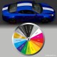 Kit sticker triple bandes 27 cm de large pour ALPINE A110