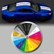 Triple stripe wide 27 cm sticker decal  for ALPINE A110 A110S PURE LEGEND