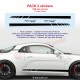 SPORT  Alpine A110 sticker side skirt sticker decals
