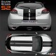 Double stripe TYPE S2 for RENAULT Twingo Clio Megane