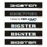 Windshield decal DACIA for Bigster