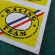 2 sticker decals Cibié 28 cm for ALPINE RENAULT