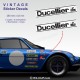 2 sticker decals DUCELLIER 28 cm for ALPINE RENAULT