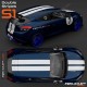 Double stripe Rally TYPE S1 for RENAULT Twingo Clio Megane
