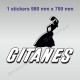 1 roof sticker GITANES for ALPINE RENAULT