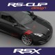 RSX decal kit for RENAULT SPORT RS megane clio twingo captur