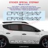 STEPWAY outline - Autocollant pour bas de caisse DACIA - Lot de 2 stickers