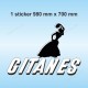 1 sticker de toit GITANES pour ALPINE RENAULT et Renault Gordini